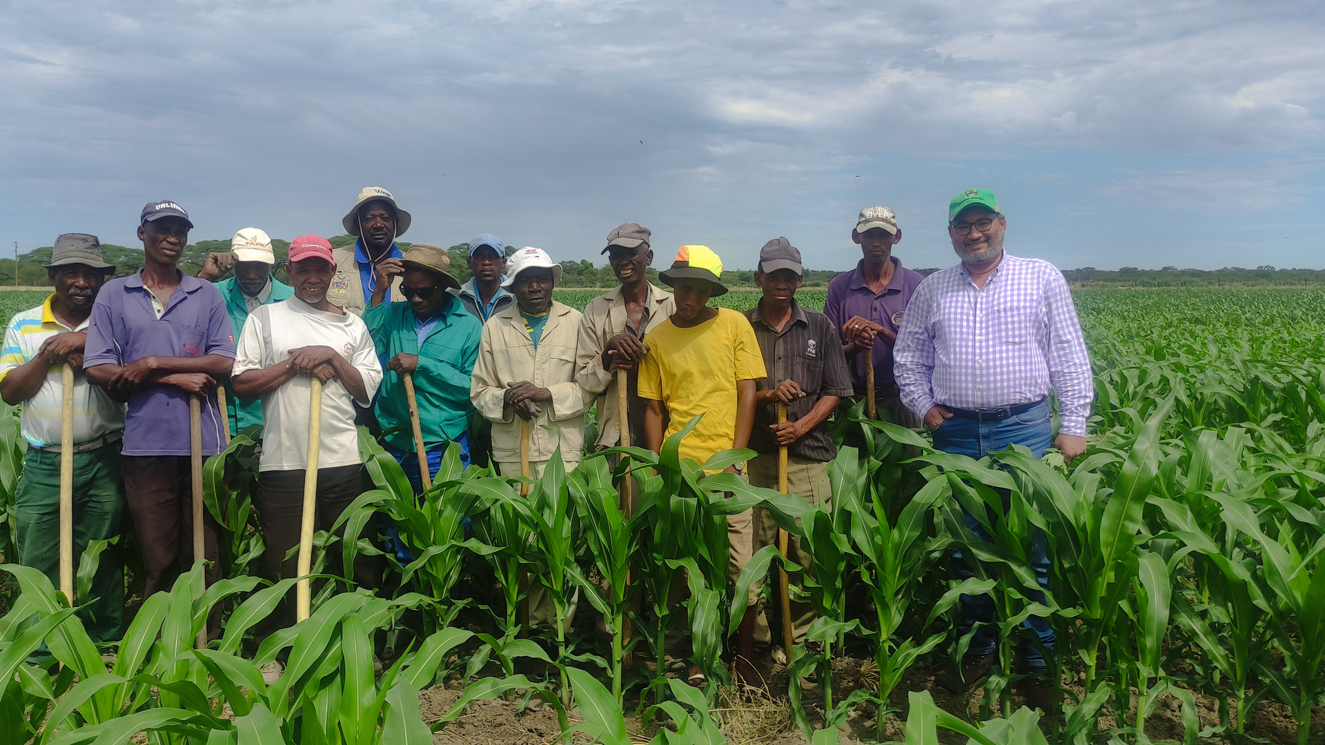 CAPACITY2-ezgif.com-resize Corn field